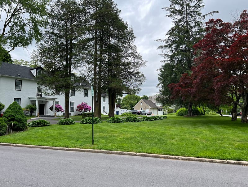 Lush lawn with trees and white house
